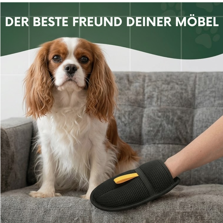 FellWischer – Tierhaare von Sofa, Kleidung & Auto entfernen