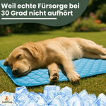 PfotenCool – Kühlmatte für deinen Hund bei Hitze