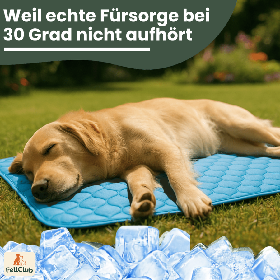 Die richtige Größe für jeden Hund