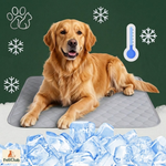 PfotenCool – Kühlmatte für deinen Hund bei Hitze