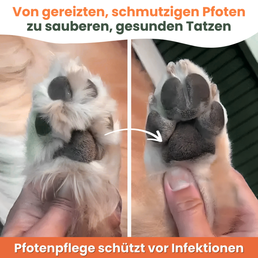 Mit FellClub® wird Pfotenpflege zum Kinderspiel