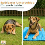 PfotenCool – Kühlmatte für deinen Hund bei Hitze