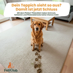 PfotenRein – Pfoten blitzschnell reinigen nach Matsch & Streusalz