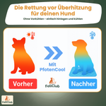 PfotenCool – Kühlmatte für deinen Hund bei Hitze