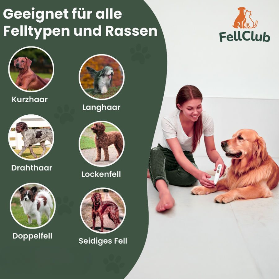 Vom Chihuahua bis zur Dogge